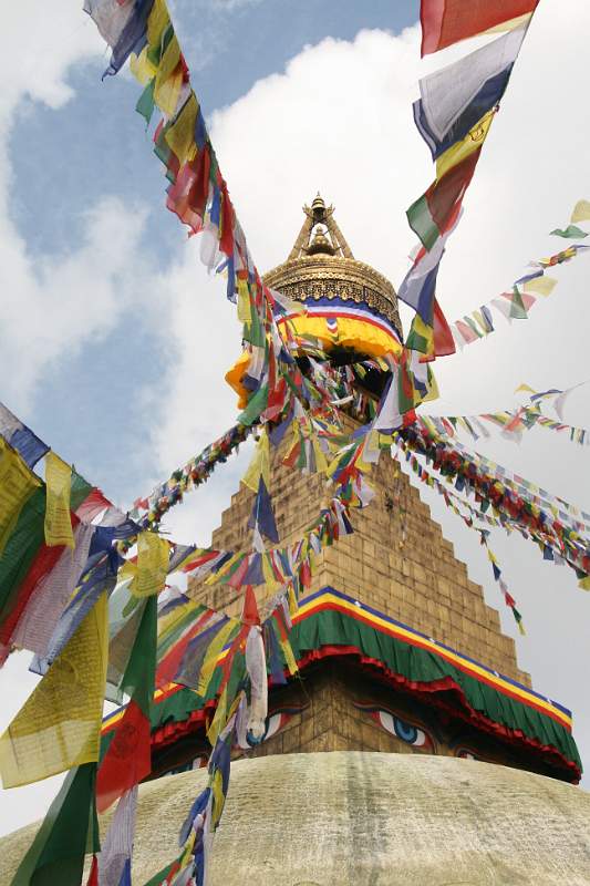 India & Nepal 2011 - 0227